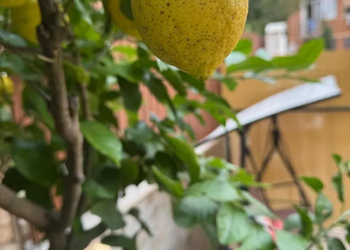 Apartamento Agli Acquedotti, Con Giardino Privato *